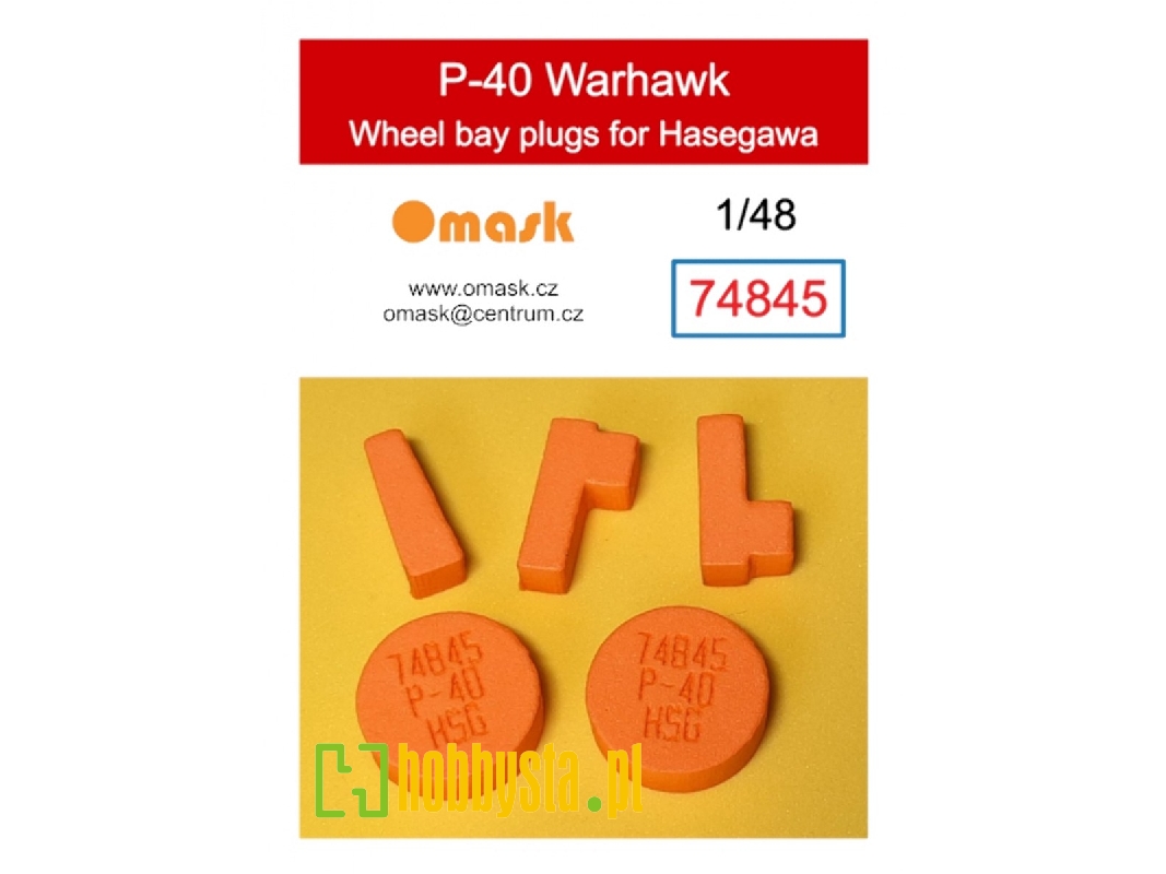 P-40 Warhawk Wheel Bay Plugs (For Hasegawa) - zdjęcie 1 P-40 Warhawk Wheel Bay Plugs (For Hasegawa) - zdjęcie 1