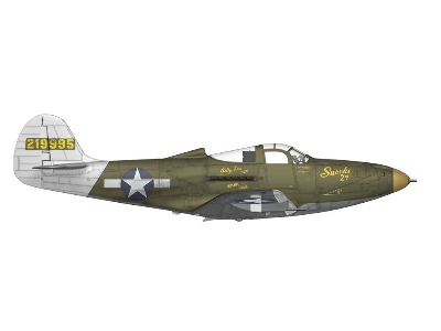 P-39 Airacobra Reconnaissance - zdjęcie 4