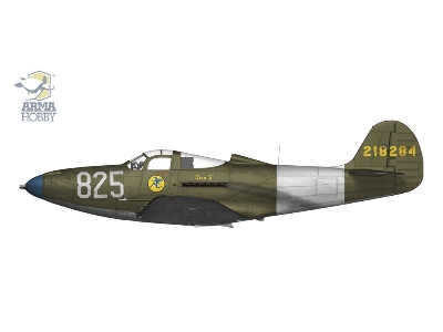 P-39 Airacobra Reconnaissance - zdjęcie 5
