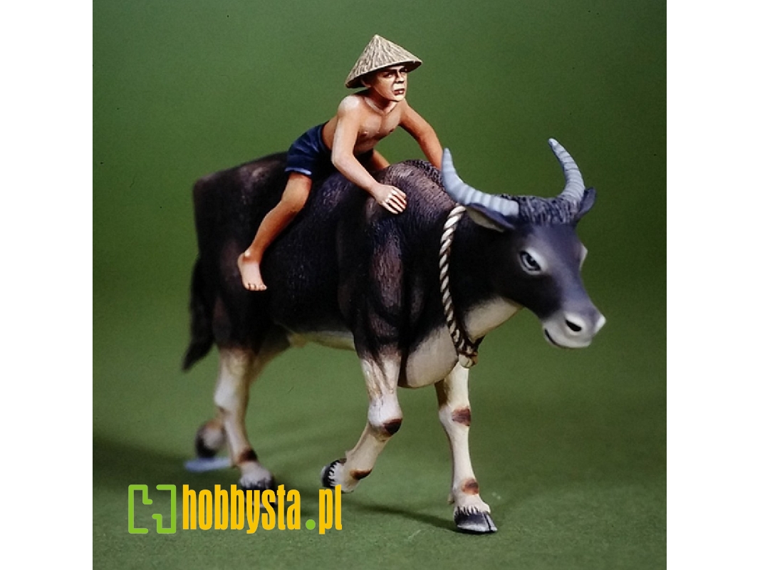 Water Buffalo & Boy - zdjęcie 1