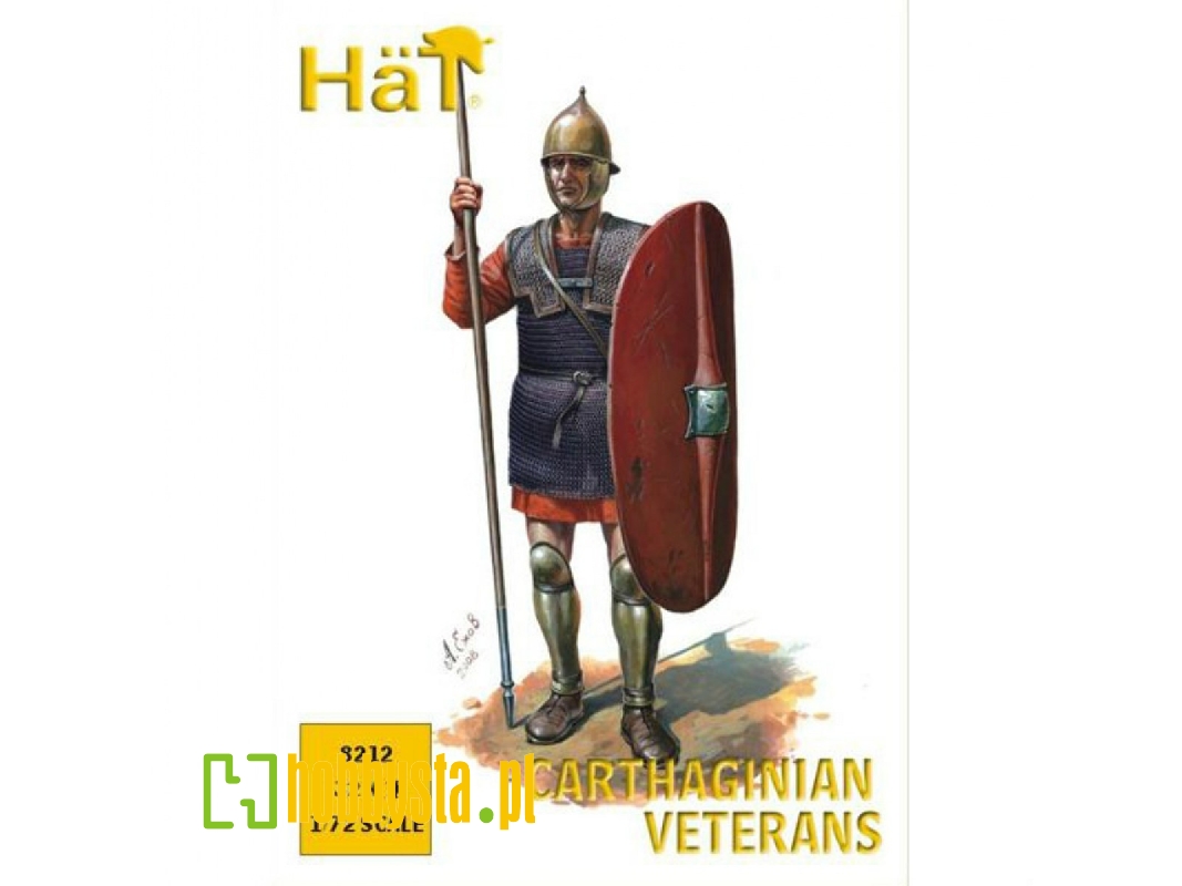 Carthaginian Veteran Spear - zdjęcie 1 Carthaginian Veteran Spear - zdjęcie 1