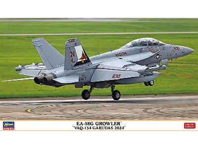 Ea-18g Growler 'vaq-134 Garudas 2024' - zdjęcie 1