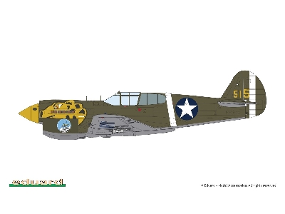 P-40E Warhawk 1/48 - zdjęcie 15