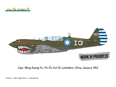 P-40N WARHAWK ROYAL CLASS DUAL COMBO 1/48 - zdjęcie 9