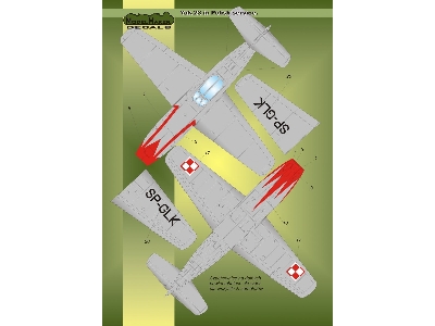 Yak-23 In Polish Service - zdjęcie 3
