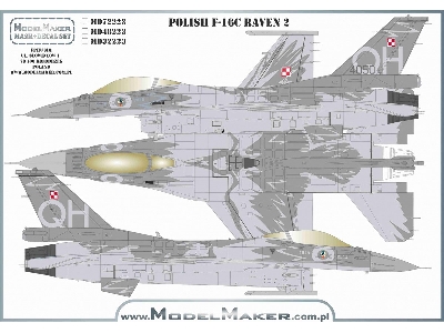 Polish F-16c - Raven 2 - zdjęcie 2
