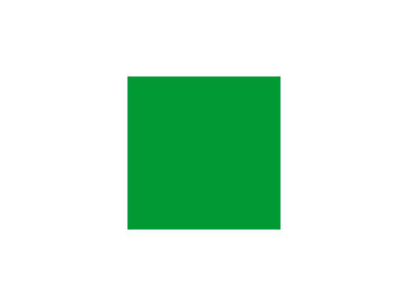 Farba Gloss Green (błyszcząca) - zdjęcie 1