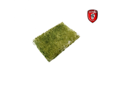Summer Grass 2 Mm - Clumbs Of Grass 15 X 20 Cm - zdjęcie 1