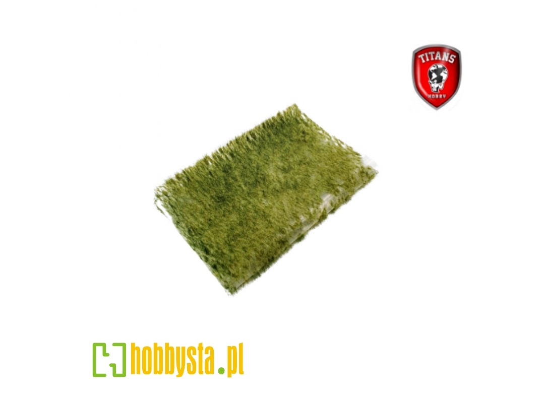 Summer Grass 2 Mm - Clumbs Of Grass 15 X 20 Cm - zdjęcie 1 Summer Grass 2 Mm - Clumbs Of Grass 15 X 20 Cm - zdjęcie 1