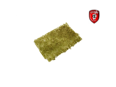 Late Summer Grass 2 Mm - Clumbs Of Grass 15 X 20 Cm - zdjęcie 1