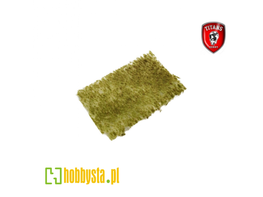 Late Summer Grass 2 Mm - Clumbs Of Grass 15 X 20 Cm - zdjęcie 1 Late Summer Grass 2 Mm - Clumbs Of Grass 15 X 20 Cm - zdjęcie 1