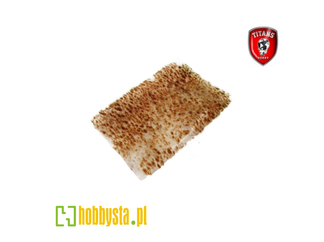 Autumn Grass 2 Mm - Clumbs Of Grass 15 X 20 Cm - zdjęcie 1 Autumn Grass 2 Mm - Clumbs Of Grass 15 X 20 Cm - zdjęcie 1