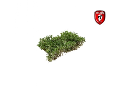 Shrubery Blooming White 15 Mm (15 X 15 Cm) - zdjęcie 1