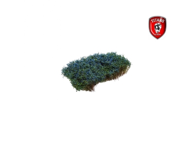 Shrubery Blooming Blue 15 Mm (15 X 15 Cm) - zdjęcie 1