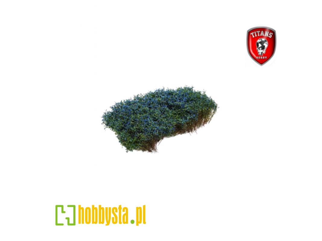 Shrubery Blooming Blue 15 Mm (15 X 15 Cm) - zdjęcie 1 Shrubery Blooming Blue 15 Mm (15 X 15 Cm) - zdjęcie 1