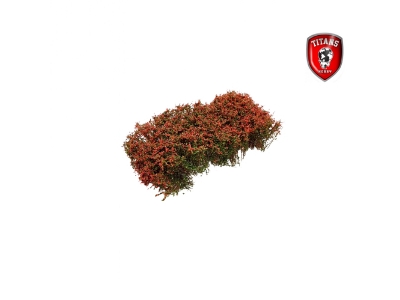 Shrubery Blooming Pink 15 Mm (15 X 15 Cm) - zdjęcie 1