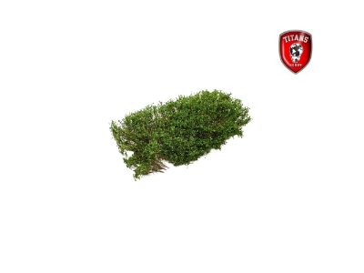 Shrubery Spring Green 15 Mm (15 X 15 Cm) - zdjęcie 1