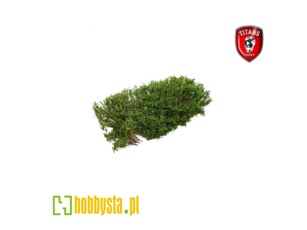 Shrubery Spring Green 15 Mm (15 X 15 Cm) - zdjęcie 1 Shrubery Spring Green 15 Mm (15 X 15 Cm) - zdjęcie 1