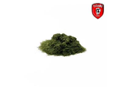 Flock Spruce Needles 1 Mm - zdjęcie 2