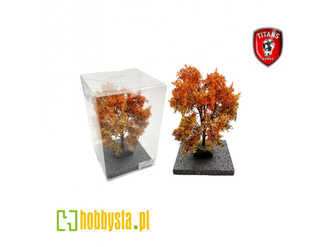 Autumn Maple Tree (18 - 22 Cm) - zdjęcie 1