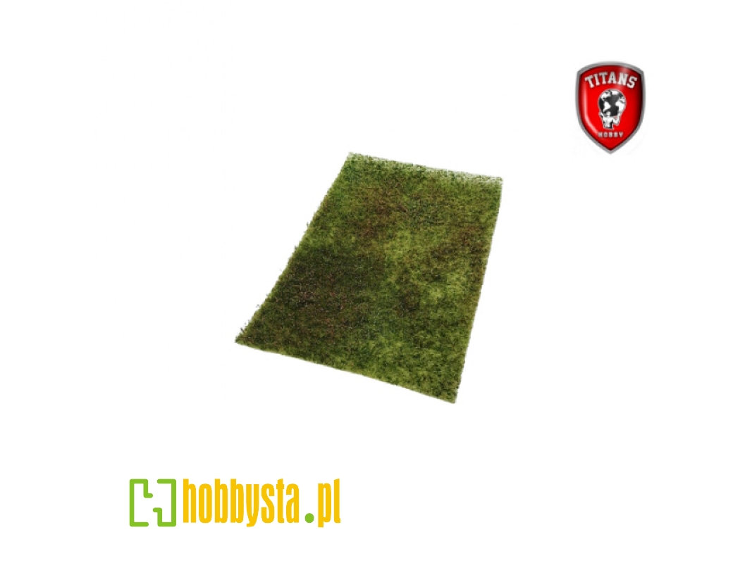Flowery Meadow Type 17 (8 - 18 Mm / 20 X 30 Cm) - zdjęcie 1