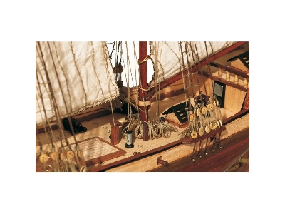 Albatros Color Pack (12500 Kit + 90557 Set) - zdjęcie 7