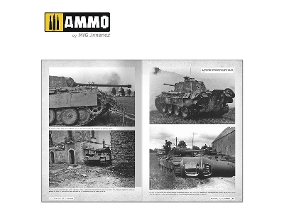 Panthers - Modeling The Takom Family (French) - zdjęcie 9