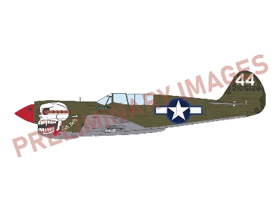 P-40n Warhawk - The Profipack Edition - zdjęcie 1