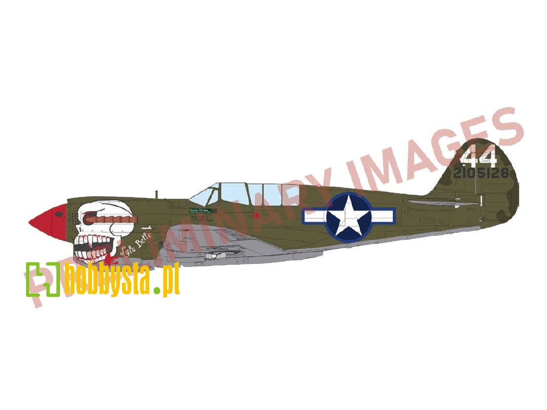 P-40n Warhawk - The Profipack Edition - zdjęcie 1