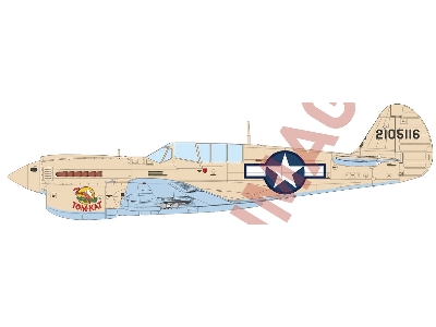 P-40n Warhawk - The Profipack Edition - zdjęcie 2