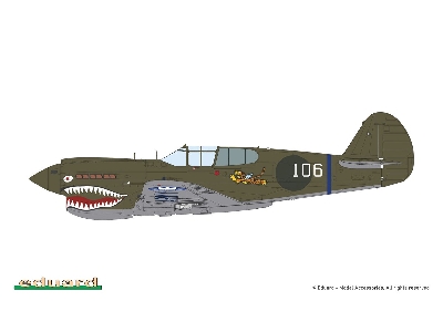 P-40 E Warhawk - The weekend Edition - zdjęcie 4