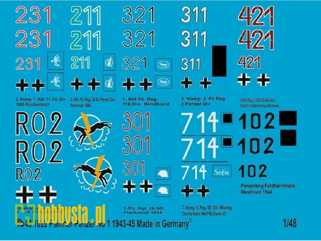 8 Different Panther Markings - zdjęcie 1
