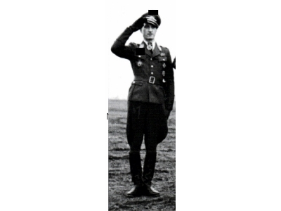 German Luftwaffe Wwii Austrian Ace - Walter Novotny (3d Printed) - zdjęcie 1