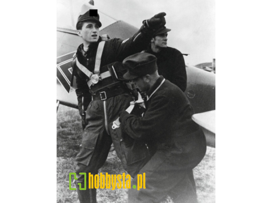 German Luftwaffe Wwii Austrian Ace - Walter Novotny In "flugdress" (3d Printed) - zdjęcie 1