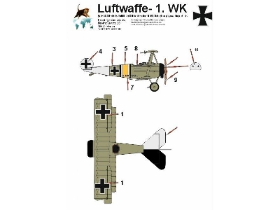 Fokker Dr. 1 Karl Bolle - Franz Hemer, France 1918 - zdjęcie 1