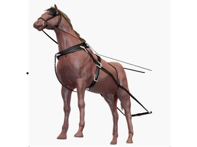 Horse With Harness - zdjęcie 1