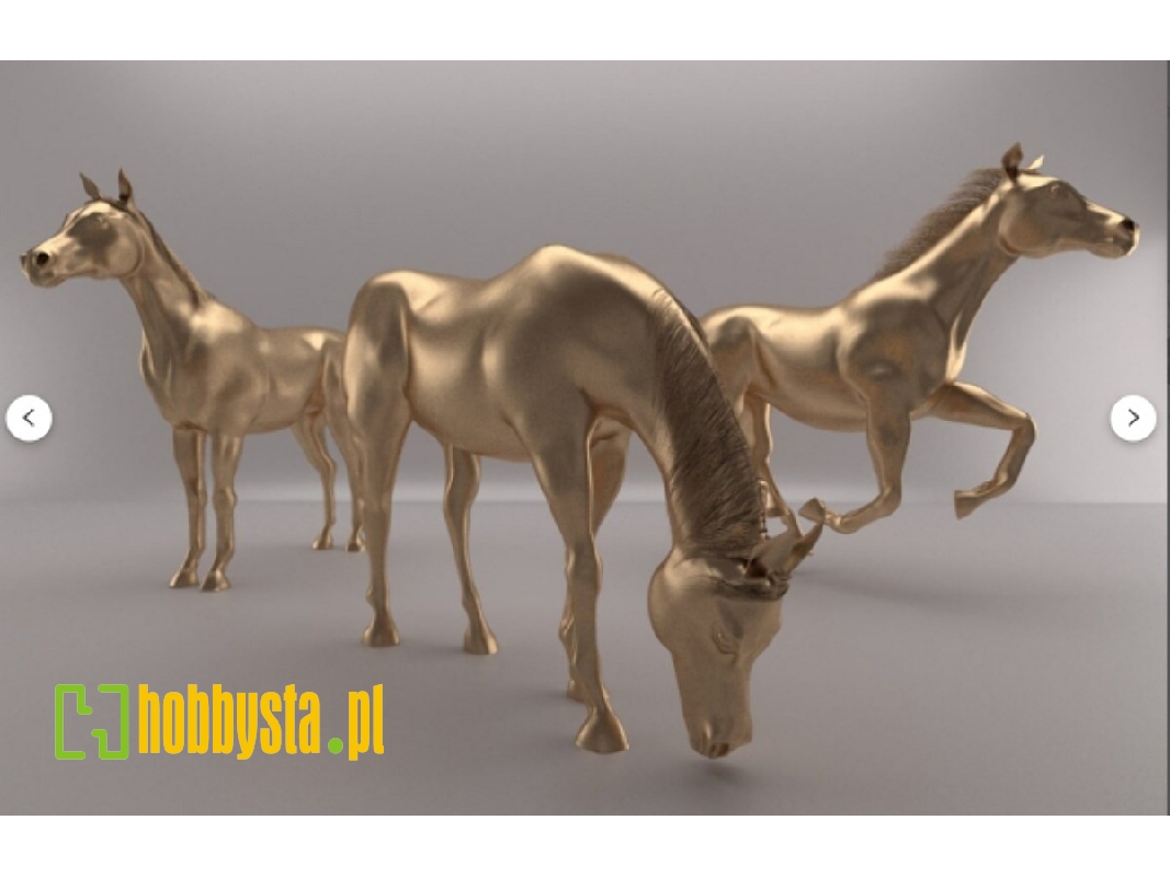 3 Horses Without Harness - zdjęcie 1