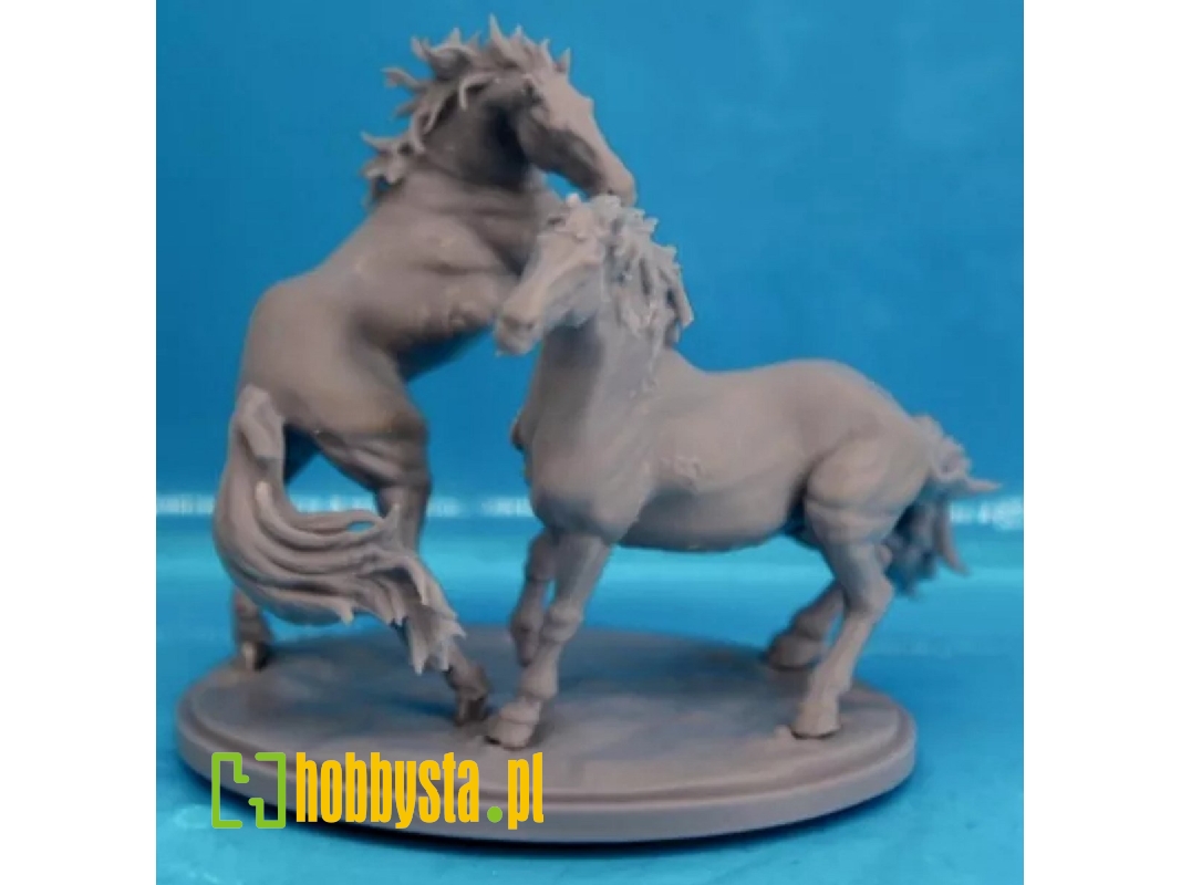 2 Horse Stallions Fighting - zdjęcie 1