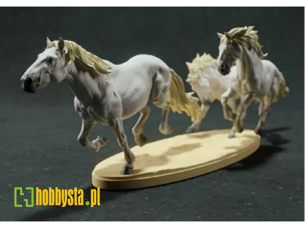 3 Horses Running - zdjęcie 1