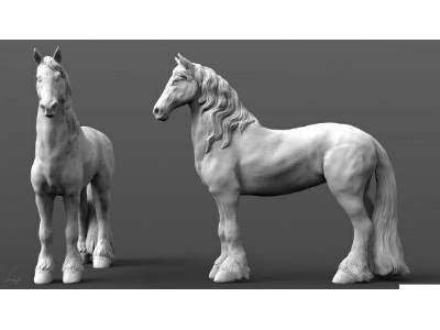 2 Heavy Horses (Friesian Horses) - zdjęcie 1