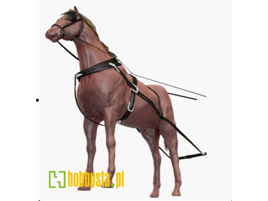 2 Horses With Harness - zdjęcie 1