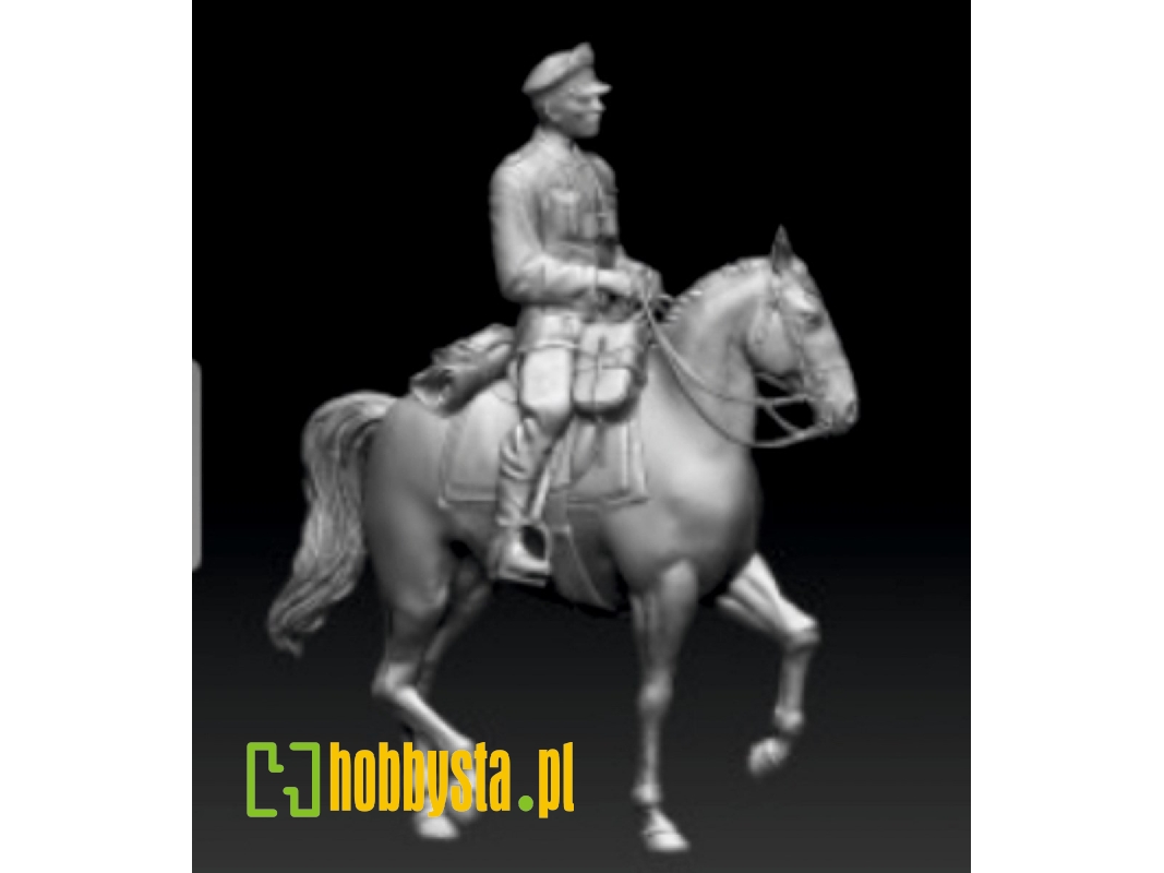 German Wwii Waffen Ss Officer On Horse - zdjęcie 1