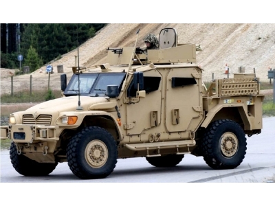 Ukrainian Husky - zdjęcie 1