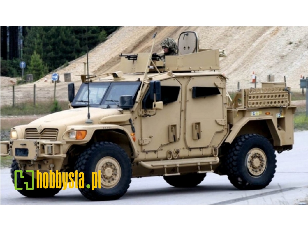 Ukrainian Husky - zdjęcie 1