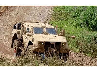 Ukrainian Oskosh L-atv - zdjęcie 1