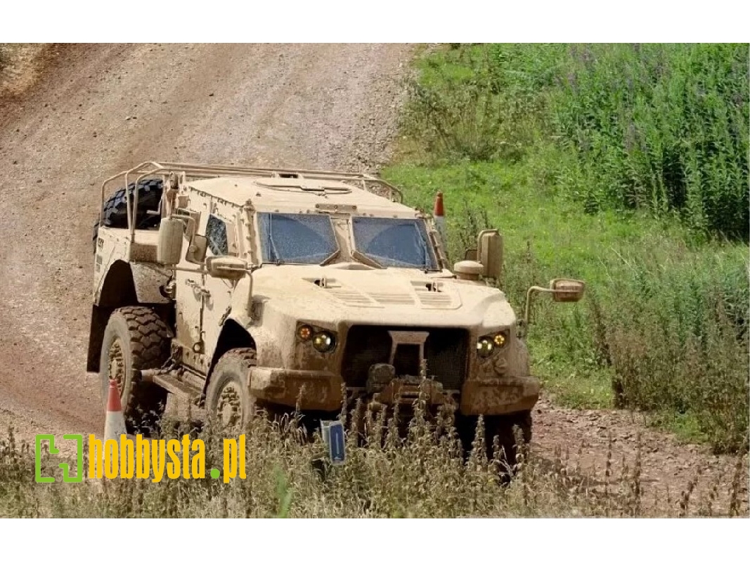 Ukrainian Oskosh L-atv - zdjęcie 1