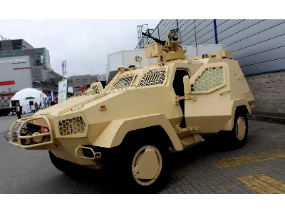 Oncilla - zdjęcie 1