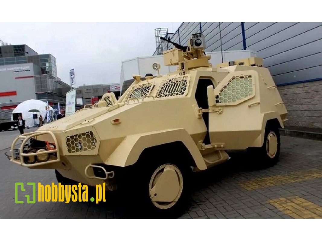 Oncilla - zdjęcie 1