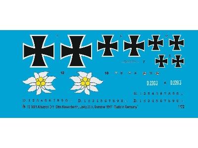 Albatros D.V Otto Kissenberth, Jasta 23b, Summer 1917 - zdjęcie 1