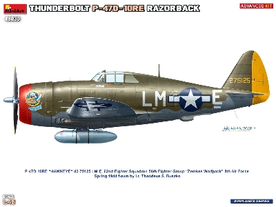 Republic P-47 D-10 Re Thunderbolt  Razorback Advanced Kit - zdjęcie 15